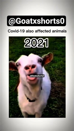 Can you notice this 🤯