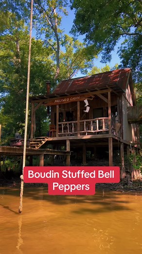 Boudin stuffed bell peppers. Pollywog style. #pollywogcabin #pollywogcabinseasoning #foryou #fyp #bellpeppercreamcheese #boudin #cajuncooking