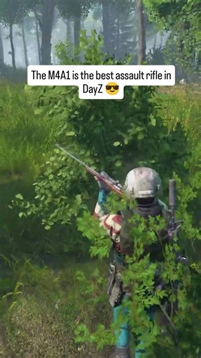 Dayz Standalone on Instagram: "The M4A1 is the best assault rifle in DayZ 😎 #dayz #dayzstandalone #dayzcommunity #dayzpc #dayzsa #dayzps4 #dayzmod #dayzxbox"