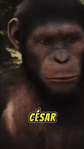El origen del planeta de los simios Resumen (5/5)