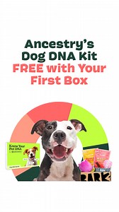 What even is your dog? Besides perfect, obviously. Discover their breed mix, distinct traits, and genetic matches with a dog DNA kit from Know Your Pet DNA by Ancestry — FREE with your first box of toys and treats. | BarkBox | Facebook