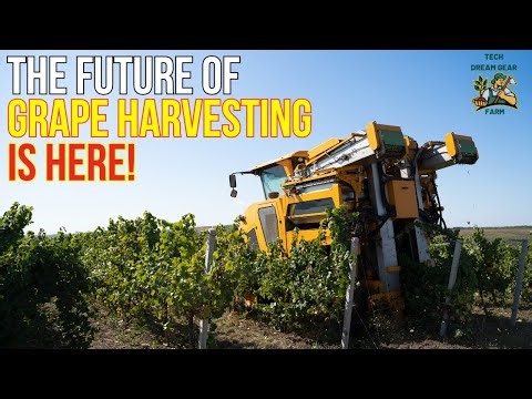 The Future of Vineyards: Discover the Automated Grape Harvesting Robot