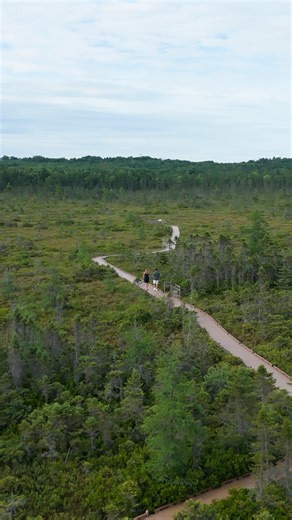 1.6K views · 17 reactions | Sunday Scaries or Sunday Giggles? We’ll take the giggles! Catch all the Maine Life bloopers on YouTube or News Center Maine +. We can’t wait to laugh with you! #MaineLife #SundayGiggles #Bloopers #VisitMaine #ExploreMaine #LifeInMaine #MaineAdventures #GoodVibesOnly | Maine Life Media | Facebook