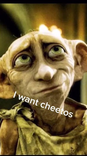 harrypotterfansonly2 on TikTok