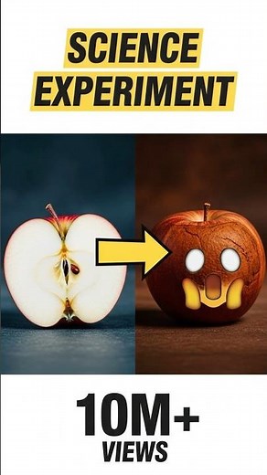 Why Apples Turn Brown? Simple Science Experiment You Can Try at Home! 🍎 #shorts #educationalvideo