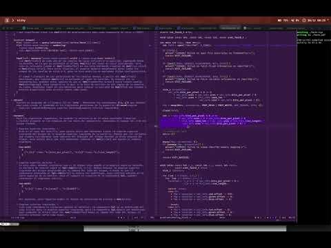 computer graphics, mips i labs and something else