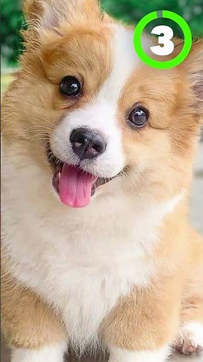 5 Minecraft Sniffer Facts Mojang Never told You...