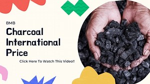 International Price Of Charcoal 2022 - BigManBusiness