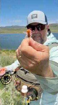 Epic Dry Fly Action at Strawberry!