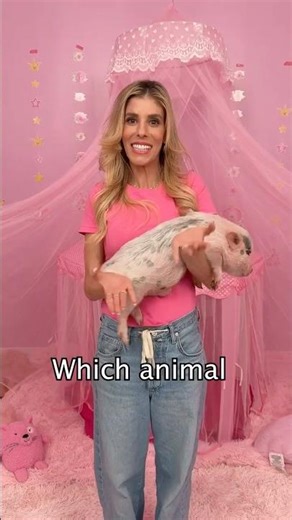 Which Animal Will She Chose?