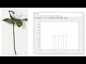 Remember 'stem' keyword with help of Nature | MATLAB | Learn with Fun