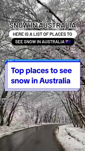 Overseas Students Australia on TikTok
