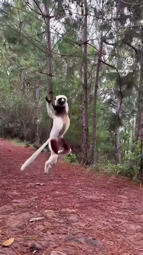 KEEP BOUNCIN’ it's Wednesday!