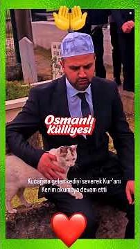 In Sakarya, a cat approached an Imam who was reciting prayers for the martyrs in a cemetery, wher...