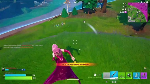 Celebrating My Birthday with Fortnite Gameplay