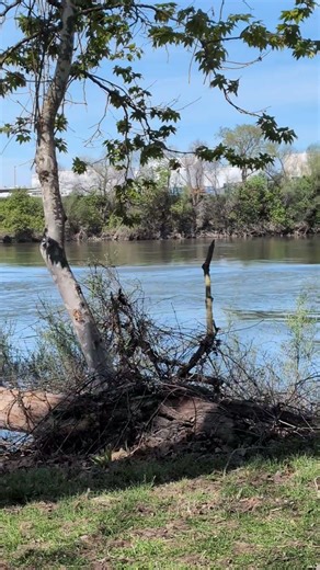 Watch These Boats STRUGGLE with Huge Wakes on the Sacramento River!