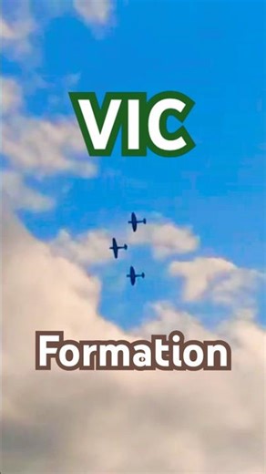 Hawker Hurricane Leads Spitfires Pair #aviation #fighter #ww2 #battleofbritain