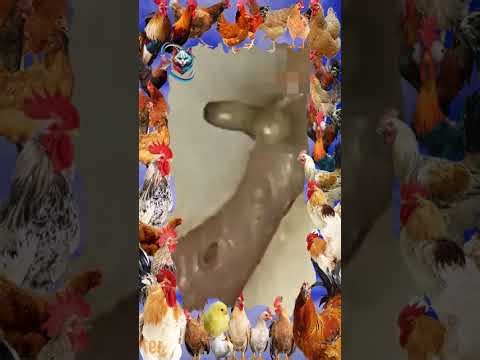 8M Plant vs Zombie Hacker 999990 Zombies In Survival Plants vs zombies hack Menu Pvz mod Ep177