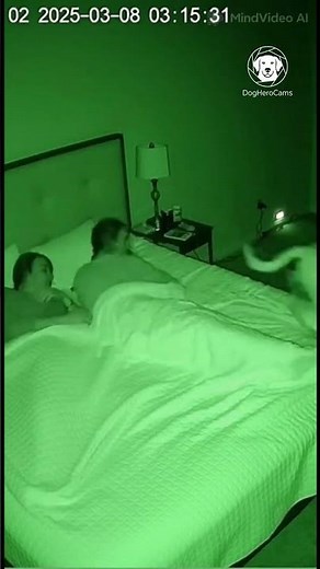 Electrical Buzz Alert: Dog's Hearing Saves Family from Bedroom Fire Hazard! ⚡🐕‍🦺 #shorts