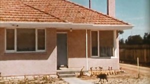 HOUSE HUNTING IN PERTH IN 1967 Migrants are sincerely welcome in Western Australia said Perth Lord Mayor The Hon. Mr. Veryard in 1967. Opportunities for migrants in WA have never been better he said, and your decision to migrate here could easily be the happiest and wisest decision you have ever made. Perth enjoys an average of nearly eight hours of sunshine every day of the year, and I send you greetings on behalf of its warmhearted citizens. In 1967 WAs population was at 836,000 with 553,000 l