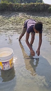 4.8K views · 25 reactions | big fish  | Unity Farm | Facebook