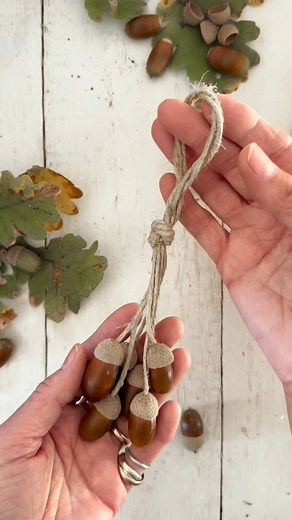 Alzi la mano a chi piacciono le ghiande? Quanto sono belli questi frutti, avevo ideato questa decorazione tanti anni fa, è inserita anche nel mio primo libro "Buon Gardening" (te la ricordi?) Una semplice decorazione da utilizzare in casa, magari anche da regalare e ti faccio vedere nel prossimo reel un altro uso per le decorazioni natalizie. Proverai a farla? _____________________________________________________ #gardening #ghiande #naturaldecor #decorazioninatalizie #home&garden #boschhome | a