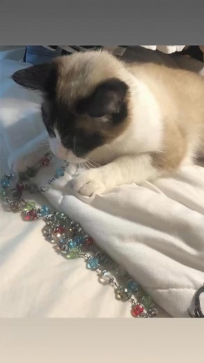 Shifawn Clubb-Rawls on Reels | Facebook