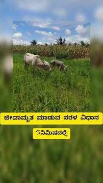 ಜೀವಾಮೃತ ಮಾಡುವ ಸುಲಭ ವಿಧಾನ | ಆರ್ಗಾನಿಕ್ ಕೃಷಿ ರಹಸ್ಯ 🌱#shorts