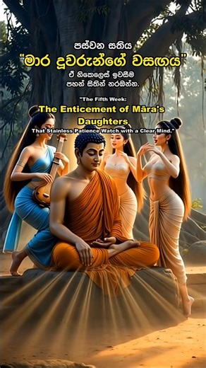 Sath Sathiya #5 | අජපාල නුගරුක මුල සතියක් වැඩ සිරීම | Week at the foot of the Ajapāla Banyan Tree