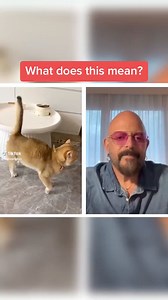 679K views · 17K reactions | #Tbt to the mock spray- explained! #Cats #CatBehavior | Jackson Galaxy | Facebook