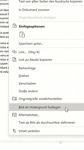 Problem in OneNote: PDF-Dokumente verrutschen, Notizen passen nicht mehr!
