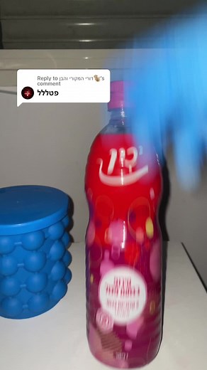 Replying to @דורי המקורי והבן🐒 #satisfying #ice #eat #satisfying לאכול קרח😍😍