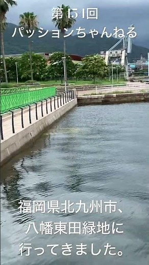 #福岡 #北九州 #八幡東田緑地 #遊歩道 #観光スポット #旅行動画 #一人旅 #travel #福岡旅行 #福岡観光 #FUKUOKA #九州旅行 #九州観光 #スペースワールド #shorts