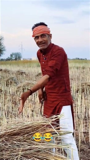 चांदनी रात में सरसों काट दी😂😂 #comedy #farming #trending #viral # #funnyvideo