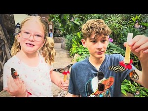 🦋BUTTERFLIES and a Magical Family Adventure! The Butterfly Palace in Branson MO