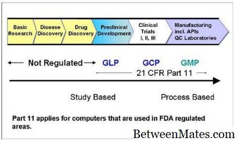 GMP和GLP - 毒品 2025