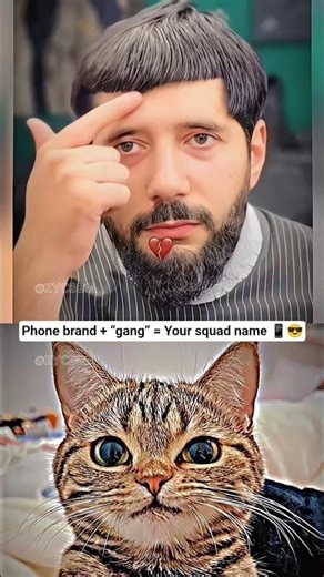 Bombastic haircut 💀 #cat #meme #dance