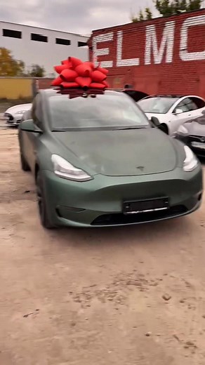 1.4K views | 殺Віддали лялечку #теслаукраїна #Тесла #teslamodely #tesla #teslaua | ELMOB Электромобили | Facebook