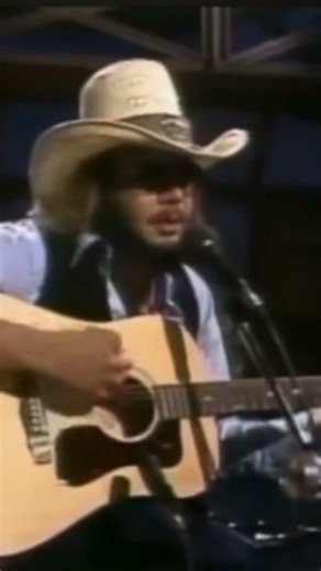 HANK WILLIAMS JR #concert #countrymusic #HankWilliamsJr￼