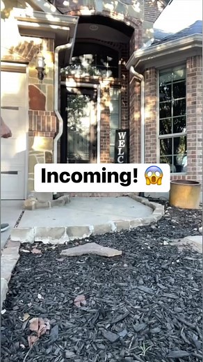 549K views · 10K reactions | Welcome home honey 藍 #watchout #incoming #toofunny #greetings #reels #pranks | Lindy and Jlo | Facebook