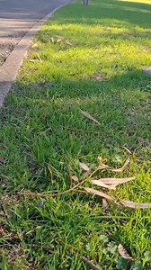 Hermoso paseo por el Cerro de Montevideo. Parque Vaz Ferreira | Paseandoo