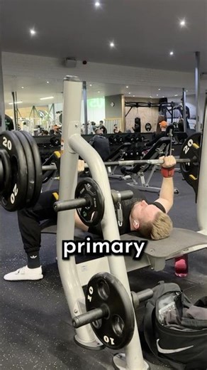 Powerlifting programming 101 #powerlifting #strengthtraining #squat #benchpress #deadlift