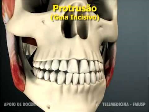 OCLUSÃO, ATM E MOVIMENTOS MANDIBULARES