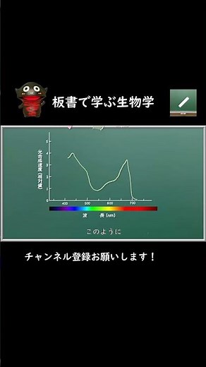 光合成速度と光の波長（作用スペクトル）#shorts