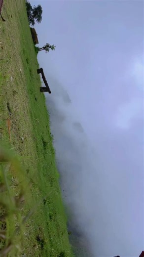 ana woops (@ana.woops)’s videos with original sound - ana woops