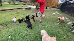 263K views · 11K reactions | It’s that special day again at the farm!...