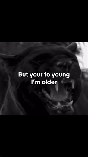 #fyp #panther #older #goodtaste #fypシ゚viral | older song
