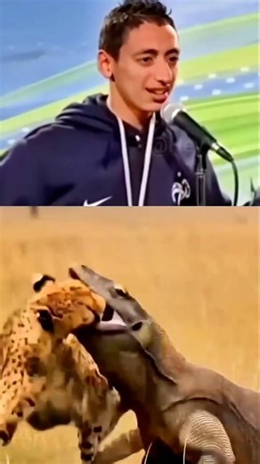 Cheetah vs Prey This is Insane #cheetah #hunting #wildlife