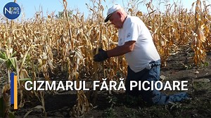 91K views · 1.8K reactions | Povestea de viață a cizmarului fără picioare din raionul Florești. | Nord-News | Facebook