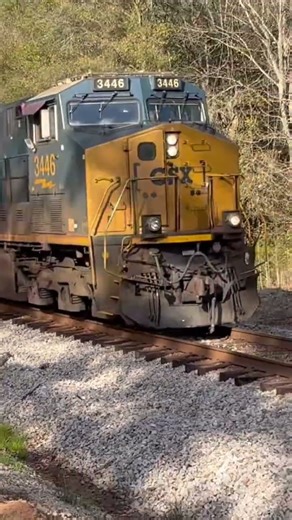 CSX Southbound mix freight